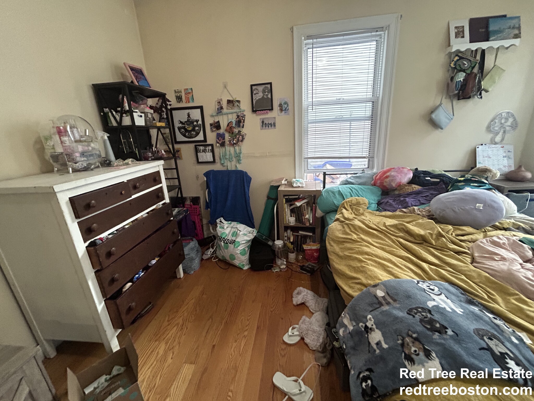 2 bed, 1 bath apartment for rent at 20 Armstrong St Unit 1, Jamaica Plain — photo 10 of 11
