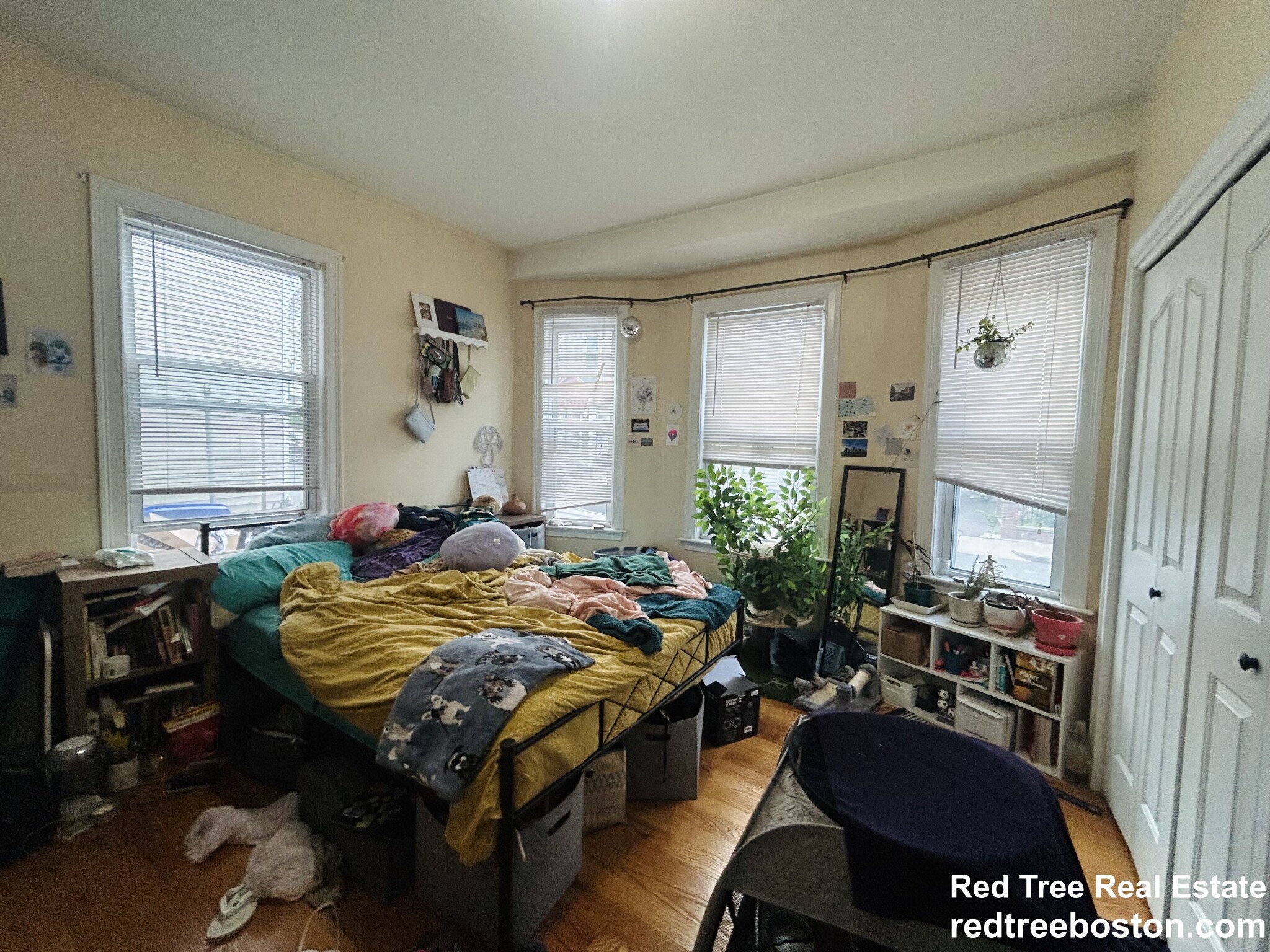 2 bed, 1 bath apartment for rent at 20 Armstrong St Unit 1, Jamaica Plain — photo 6 of 11