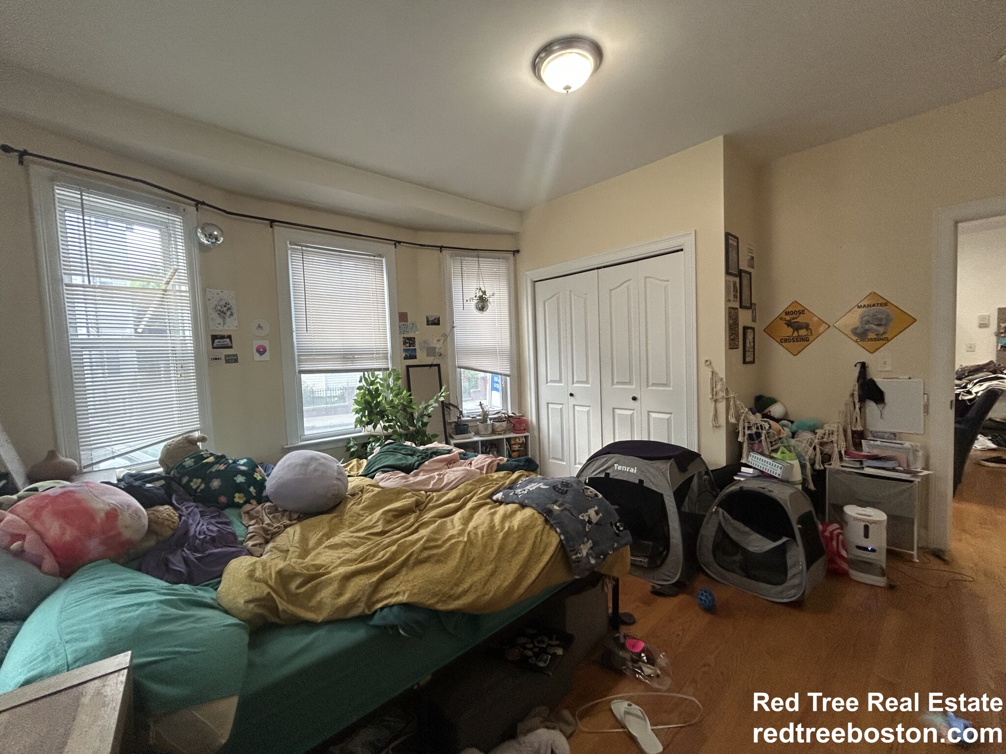 2 bed, 1 bath apartment for rent at 20 Armstrong St Unit 1, Jamaica Plain — photo 8 of 11