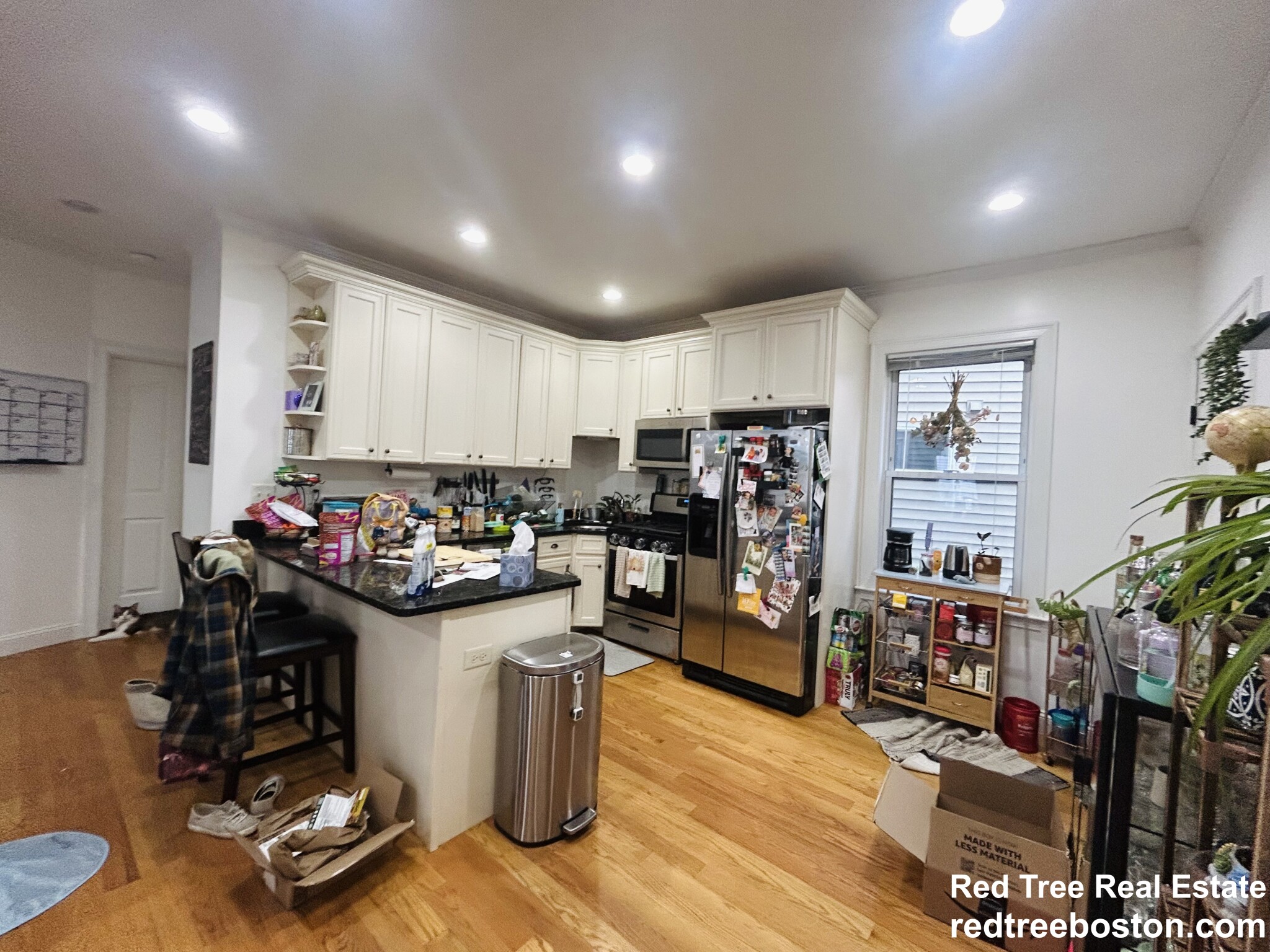2 bed, 1 bath apartment for rent at 20 Armstrong St Unit 1, Jamaica Plain
