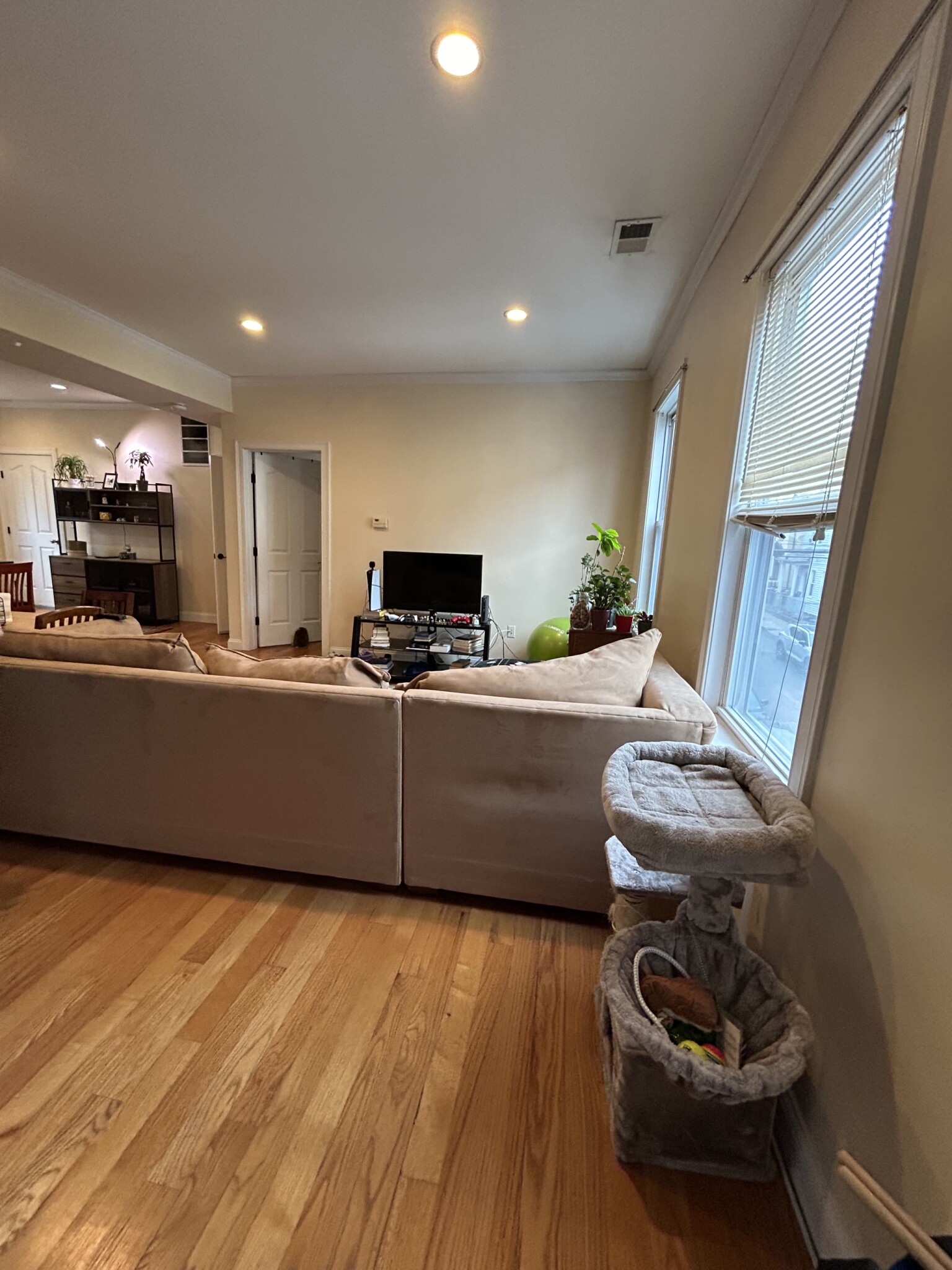 2 bed, 1 bath apartment for rent at 20 Armstrong St Unit 2, Jamaica Plain — photo 5 of 14