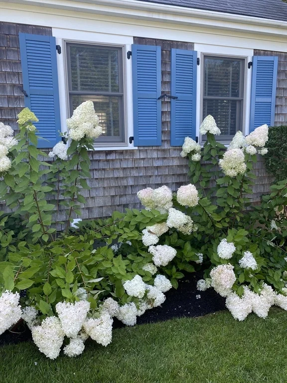5 bed, 3 bath apartment for rent at 20 Cato Ln, Nantucket — photo 2 of 27