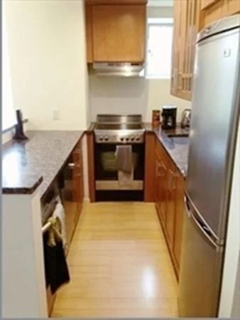 1 bed, 1 bath apartment for rent at 20 Chapel St Unit B402, Brookline — photo 3 of 11