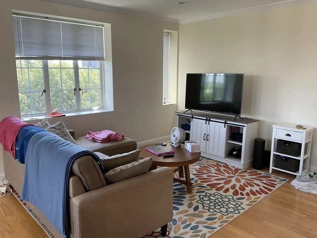 1 bed, 1 bath apartment for rent at 20 Chapel Unit A907, Coolidge Corner — photo 7 of 38