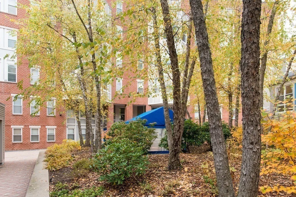 2 bed, 2 bath apartment for rent at 20 Chestnut St Unit 402, Cambridgeport — photo 14 of 14
