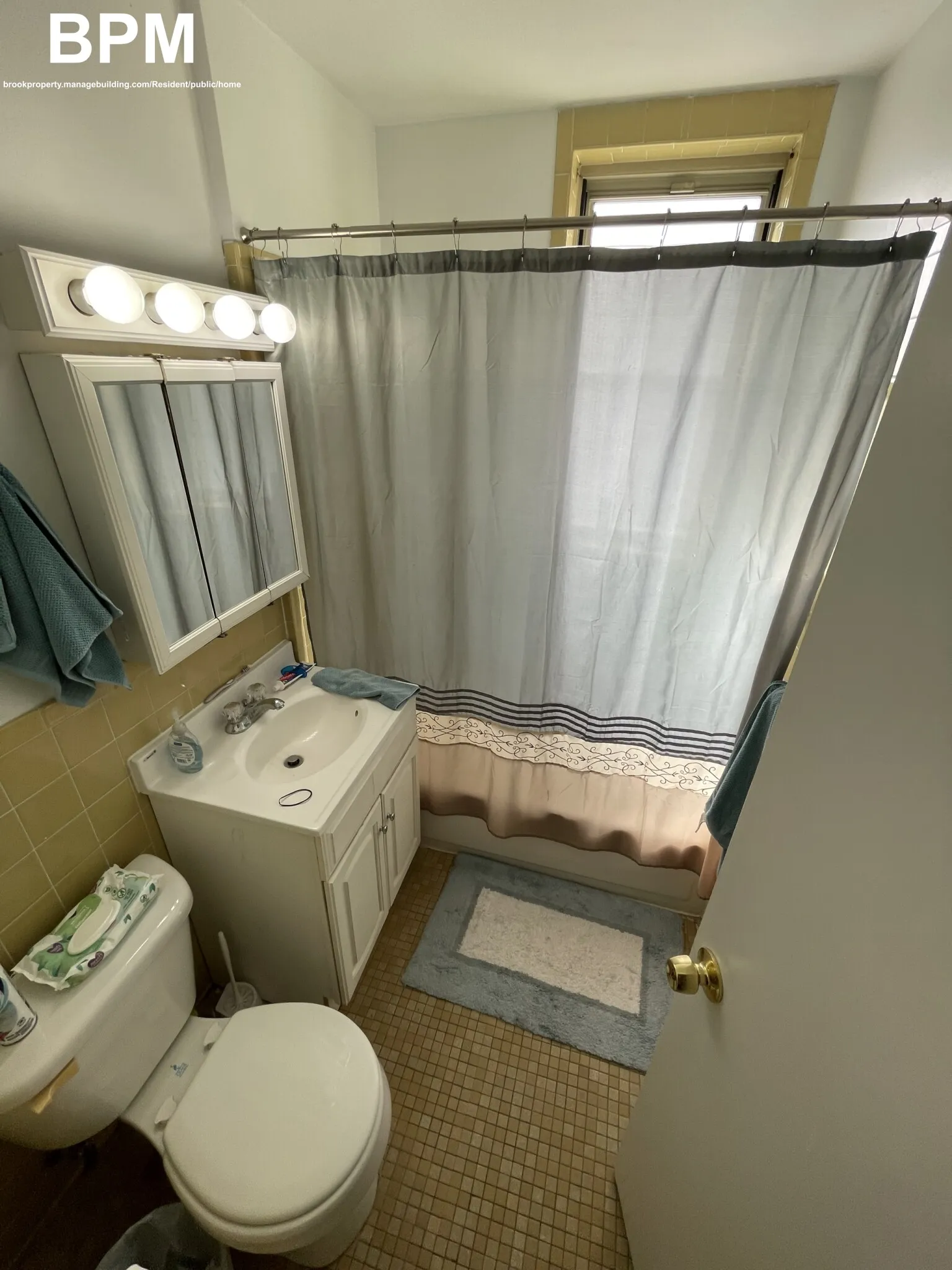 Studio bed, 1 bath apartment for rent at 20 Colborne Rd Unit 12A, Brighton — photo 2 of 3
