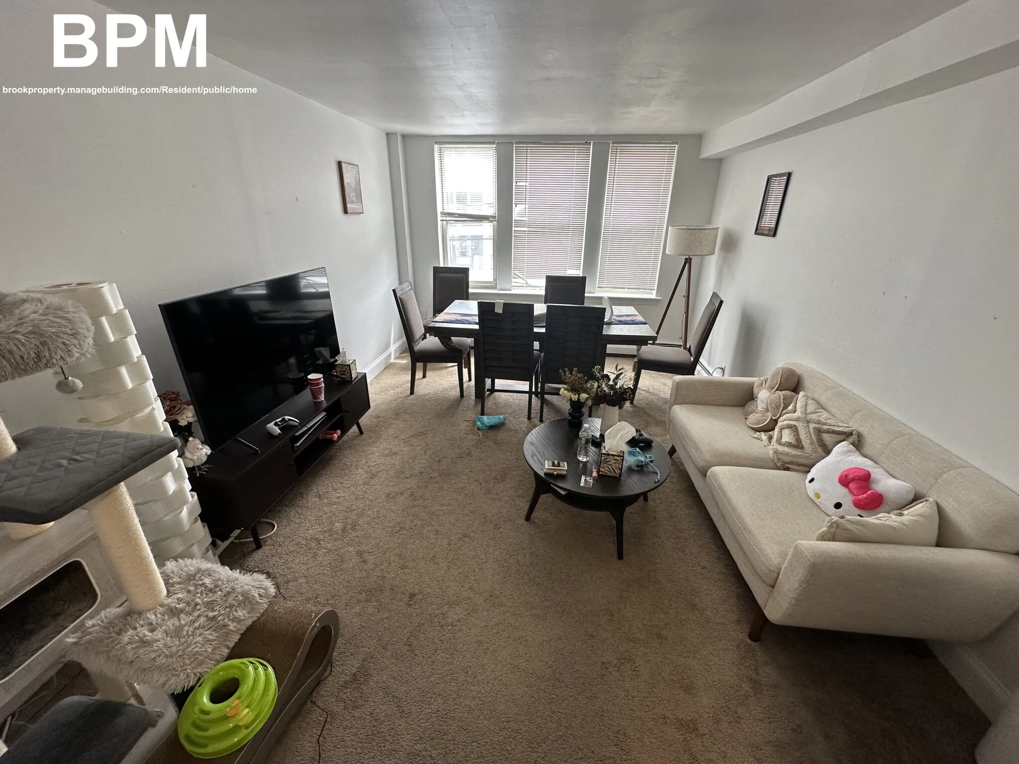 2 bed, 1 bath apartment for rent at 20 Colborne Rd Unit 2, Brighton — photo 13 of 16