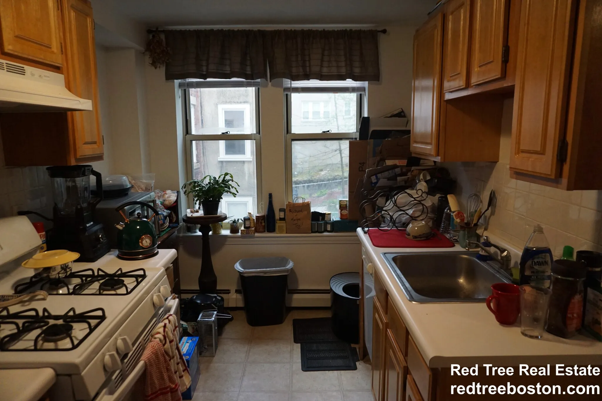 1 bed, 1 bath apartment for rent at 20 Colborne Rd Unit 3, Brighton — photo 24 of 36