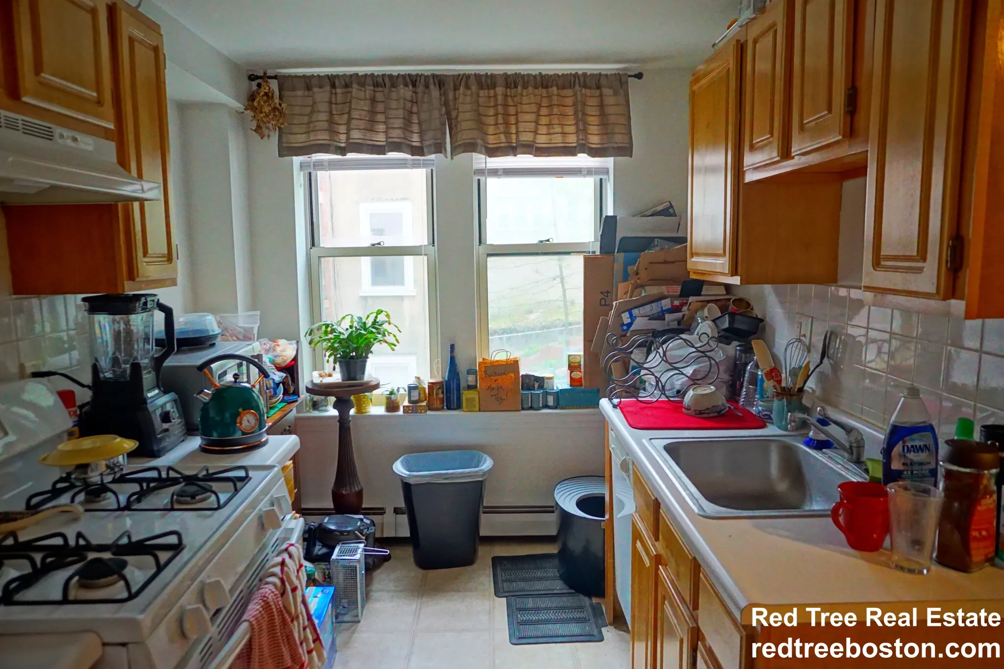 1 bed, 1 bath apartment for rent at 20 Colborne Rd Unit 3, Brighton — photo 25 of 36
