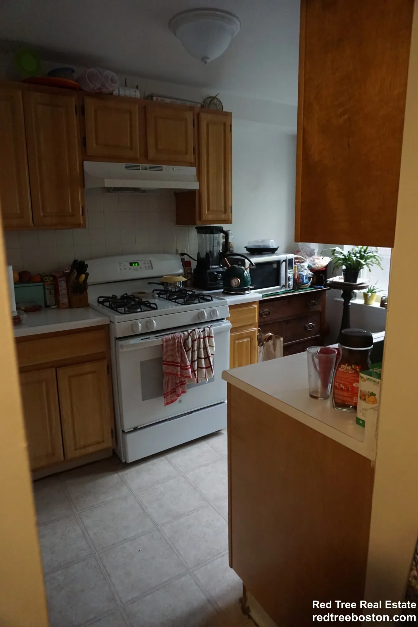 1 bed, 1 bath apartment for rent at 20 Colborne Rd Unit 3, Brighton — photo 22 of 36