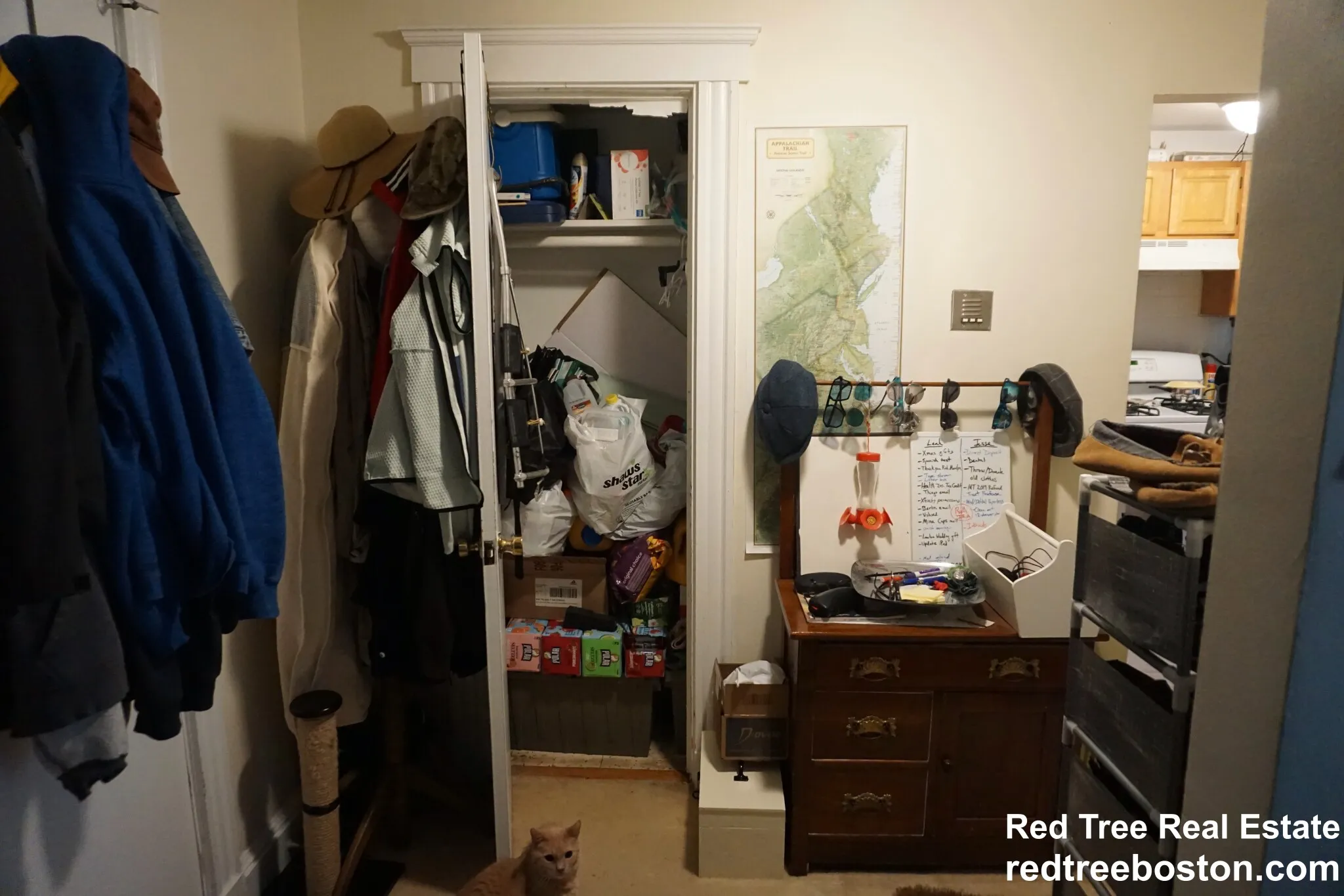 1 bed, 1 bath apartment for rent at 20 Colborne Rd Unit 3, Brighton — photo 16 of 36