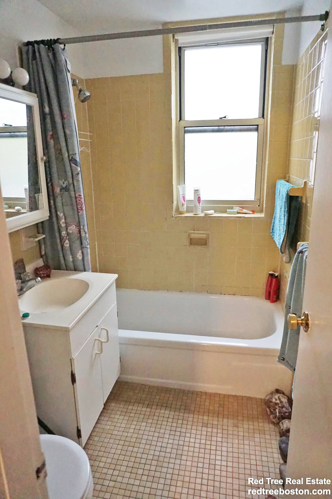 1 bed, 1 bath apartment for rent at 20 Colborne Rd Unit 3, Brighton — photo 2 of 36