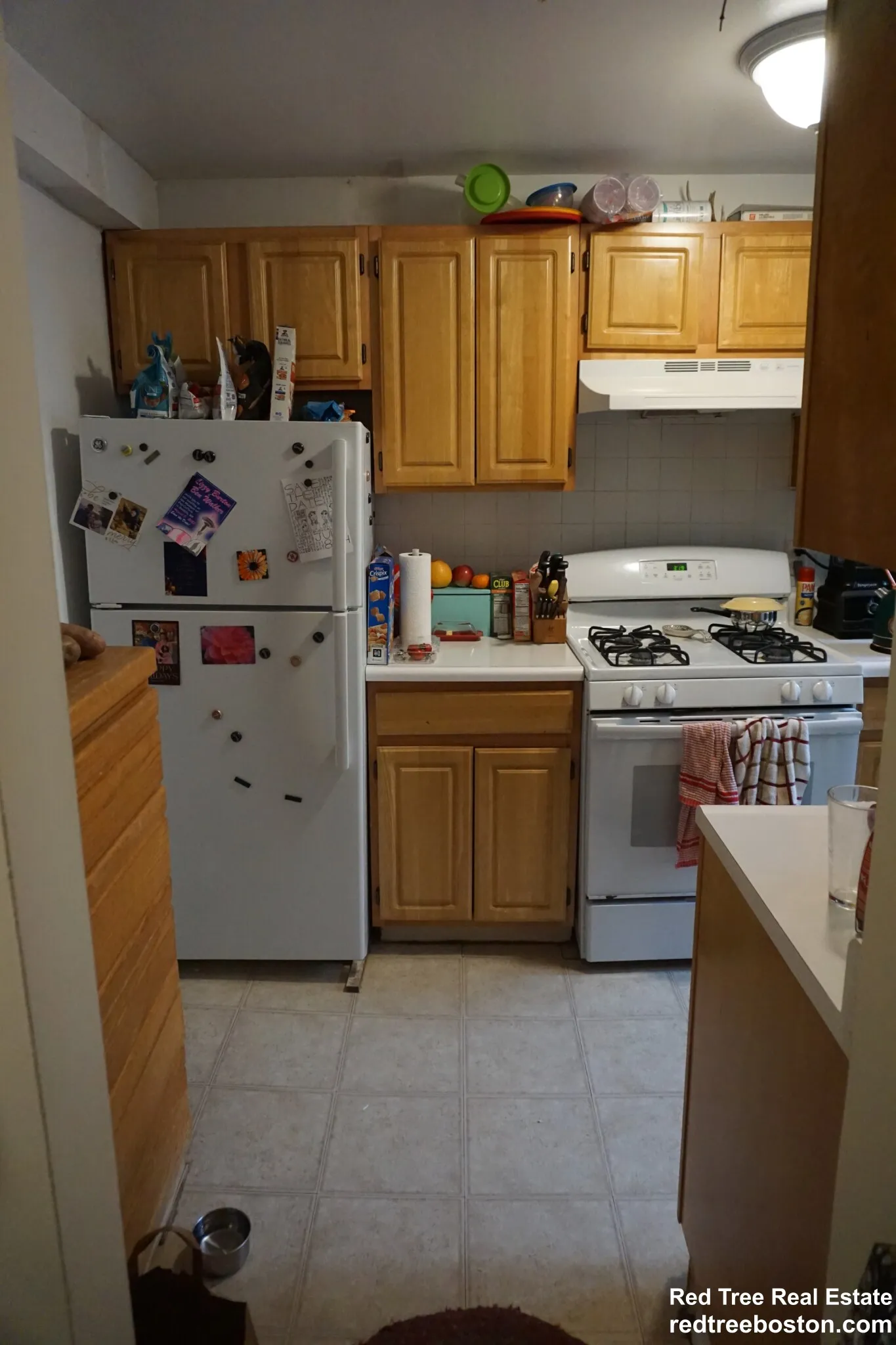 1 bed, 1 bath apartment for rent at 20 Colborne Rd Unit 3, Brighton — photo 20 of 36