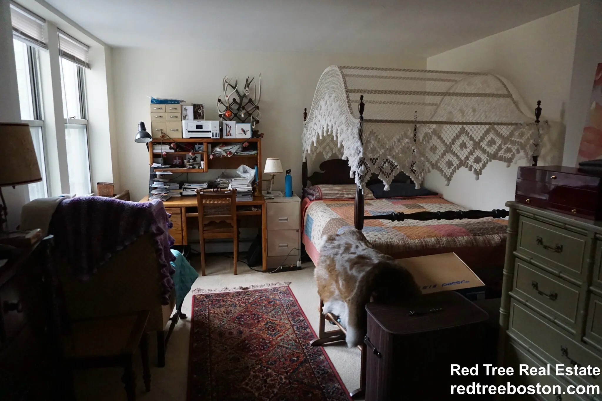 1 bed, 1 bath apartment for rent at 20 Colborne Rd Unit 3, Brighton — photo 31 of 36