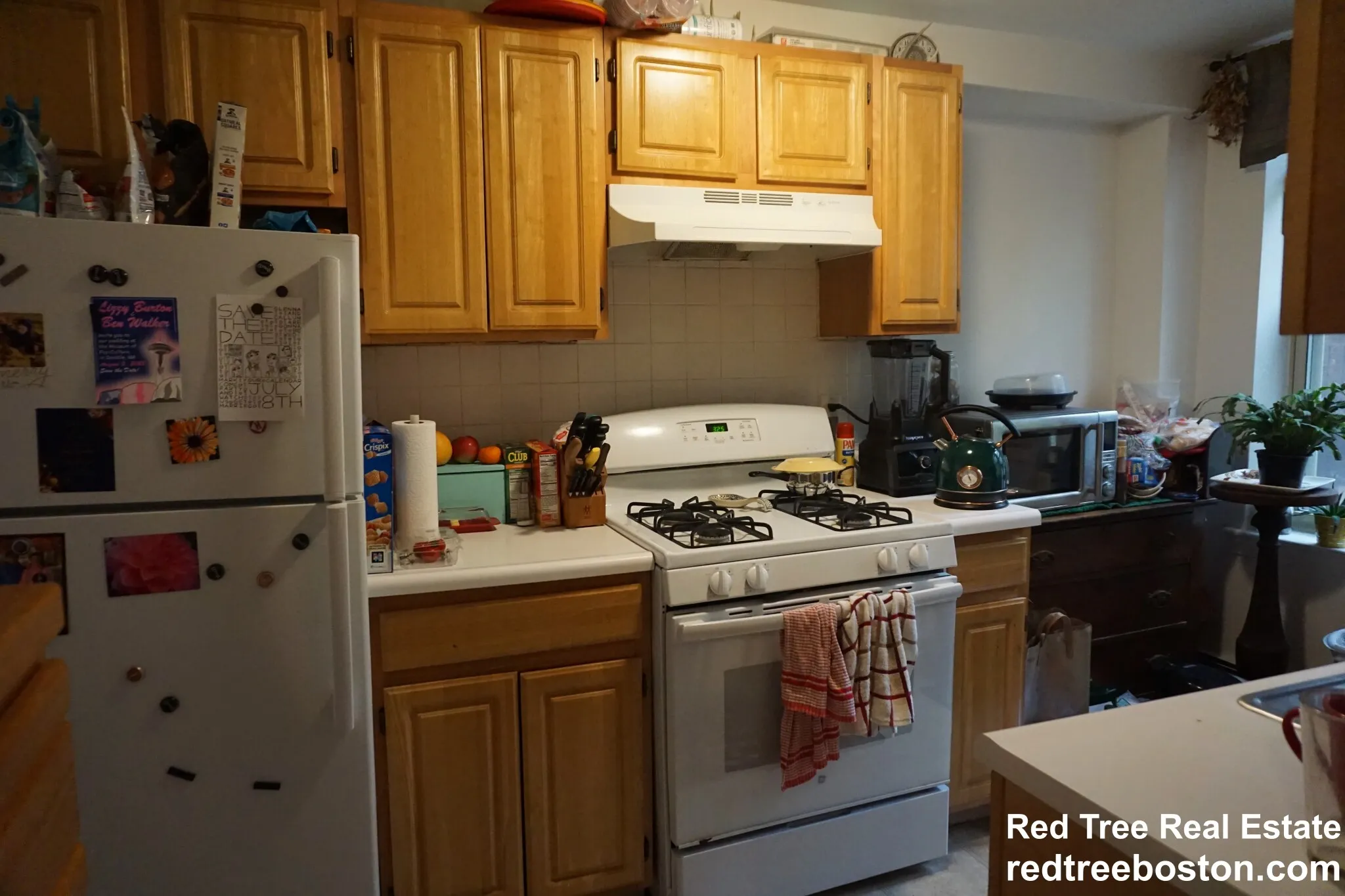 1 bed, 1 bath apartment for rent at 20 Colborne Rd Unit 3, Brighton — photo 26 of 36