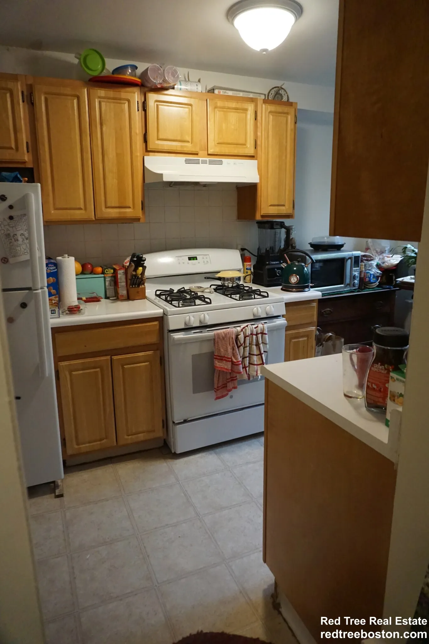 1 bed, 1 bath apartment for rent at 20 Colborne Rd Unit 3, Brighton — photo 23 of 36