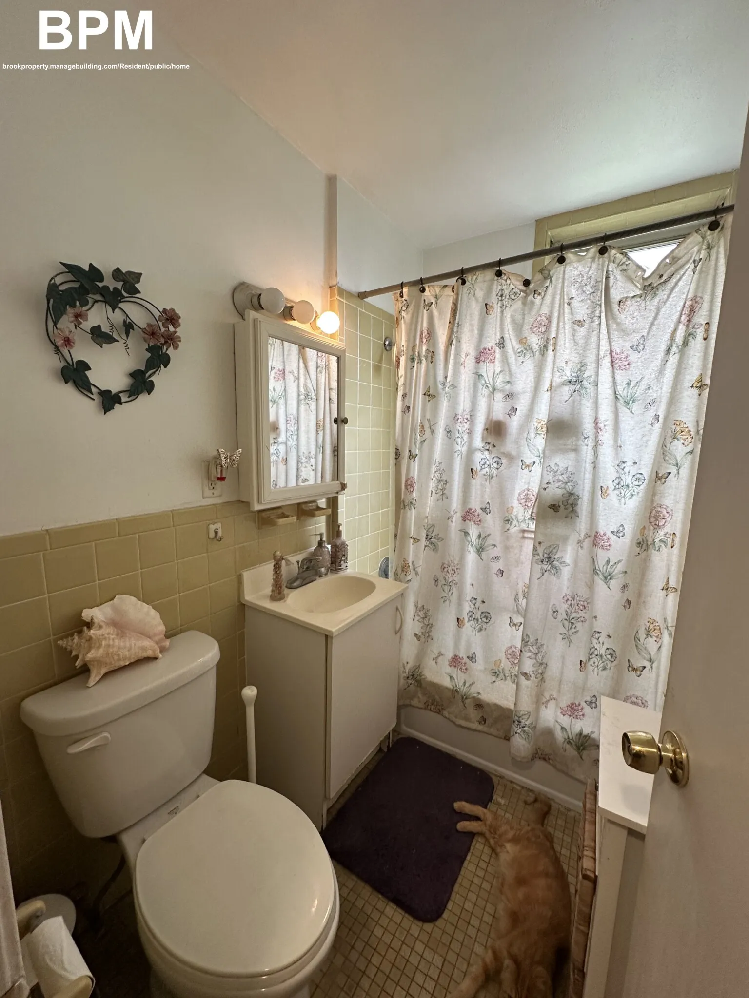 1 bed, 1 bath apartment for rent at 20 Colborne Rd Unit 8, Brighton — photo 4 of 4