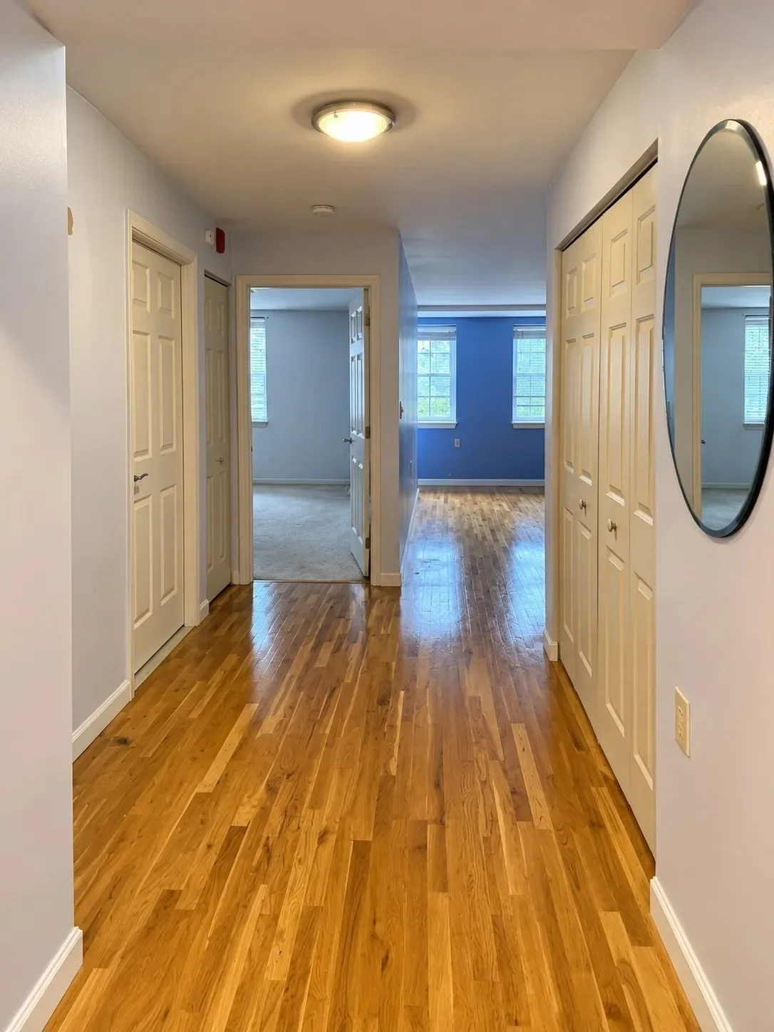 1 bed, 1 bath apartment for rent at 20 Daniels St , Unit 116, Malden — photo 6 of 11