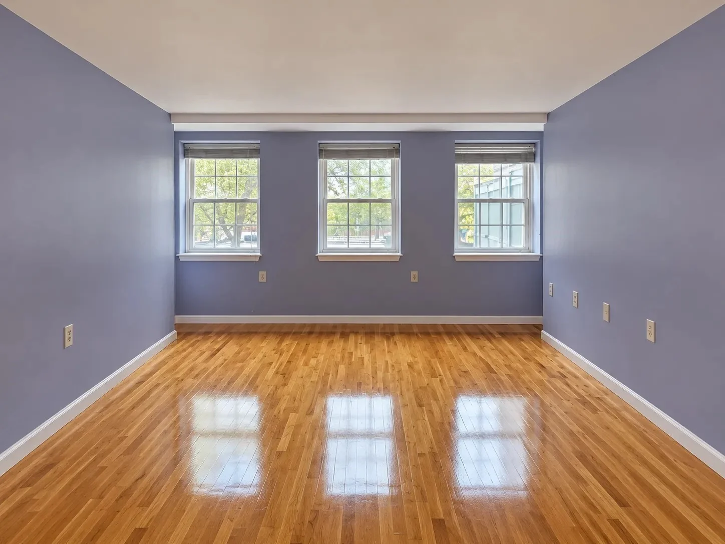 1 bed, 1 bath apartment for rent at 20 Daniels St , Unit 116, Malden — photo 3 of 11