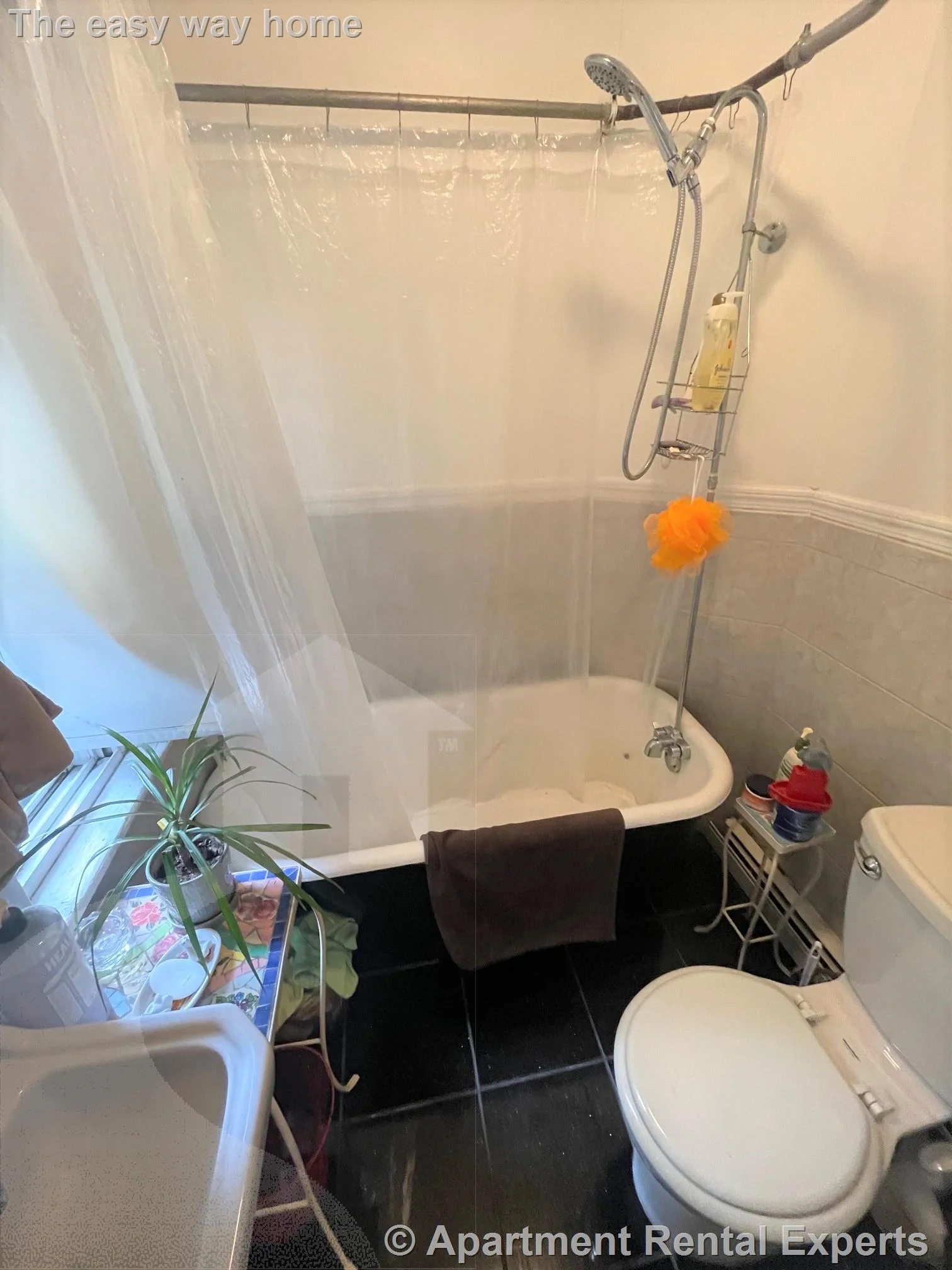 1 bed, 1 bath apartment for rent at 20 Dell St Unit 1, Union Square — photo 8 of 10