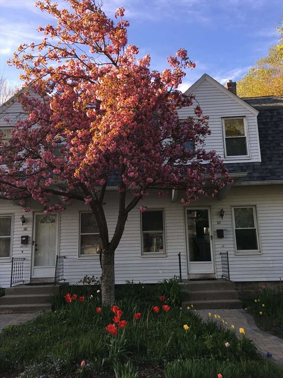 3 bed, 1 bath apartment for rent at 20 Elmwood Unit 20, Maynard