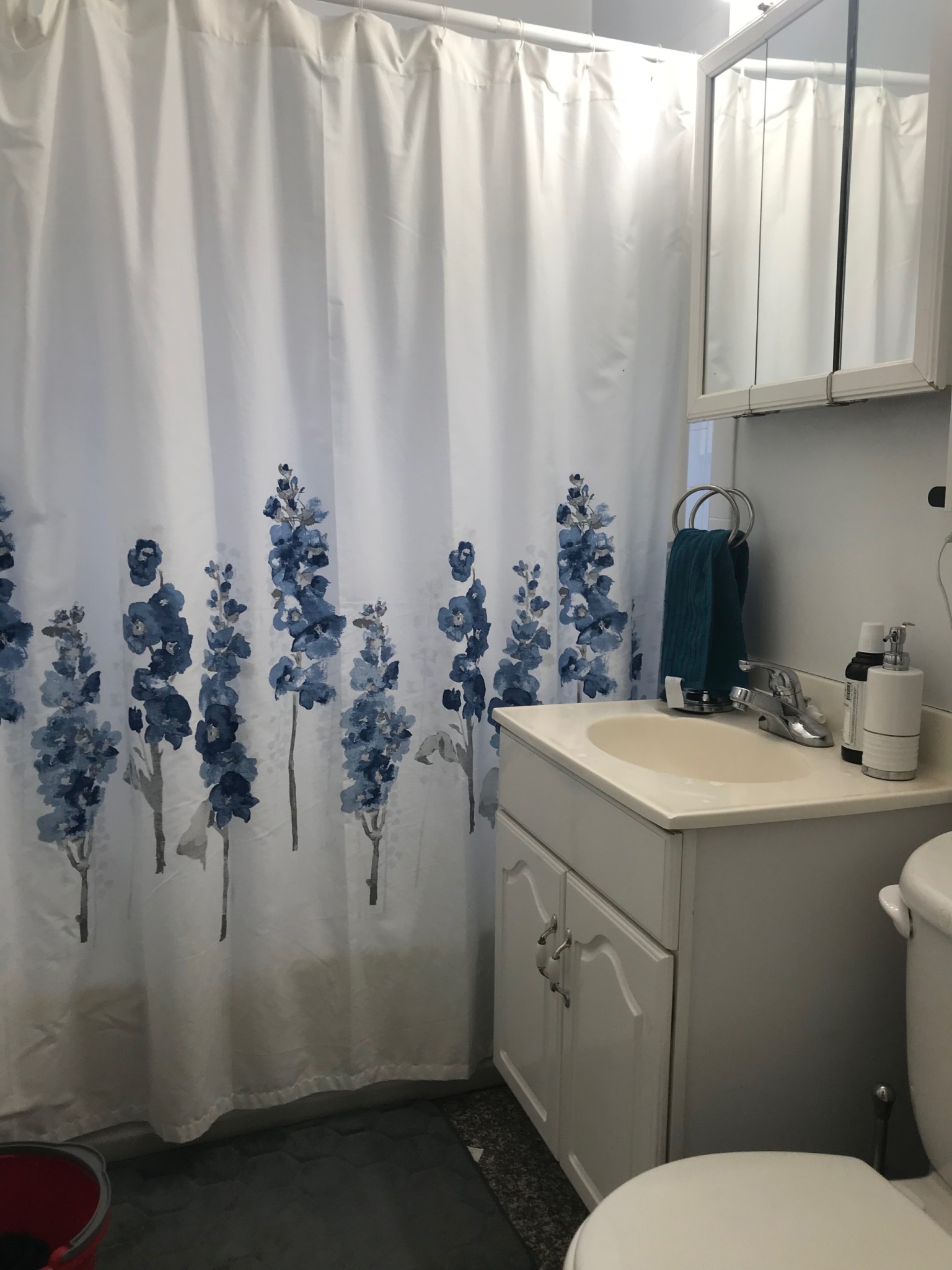 1 bed, 1 bath apartment for rent at 20 Fairbanks St Unit 5, Brookline — photo 9 of 10