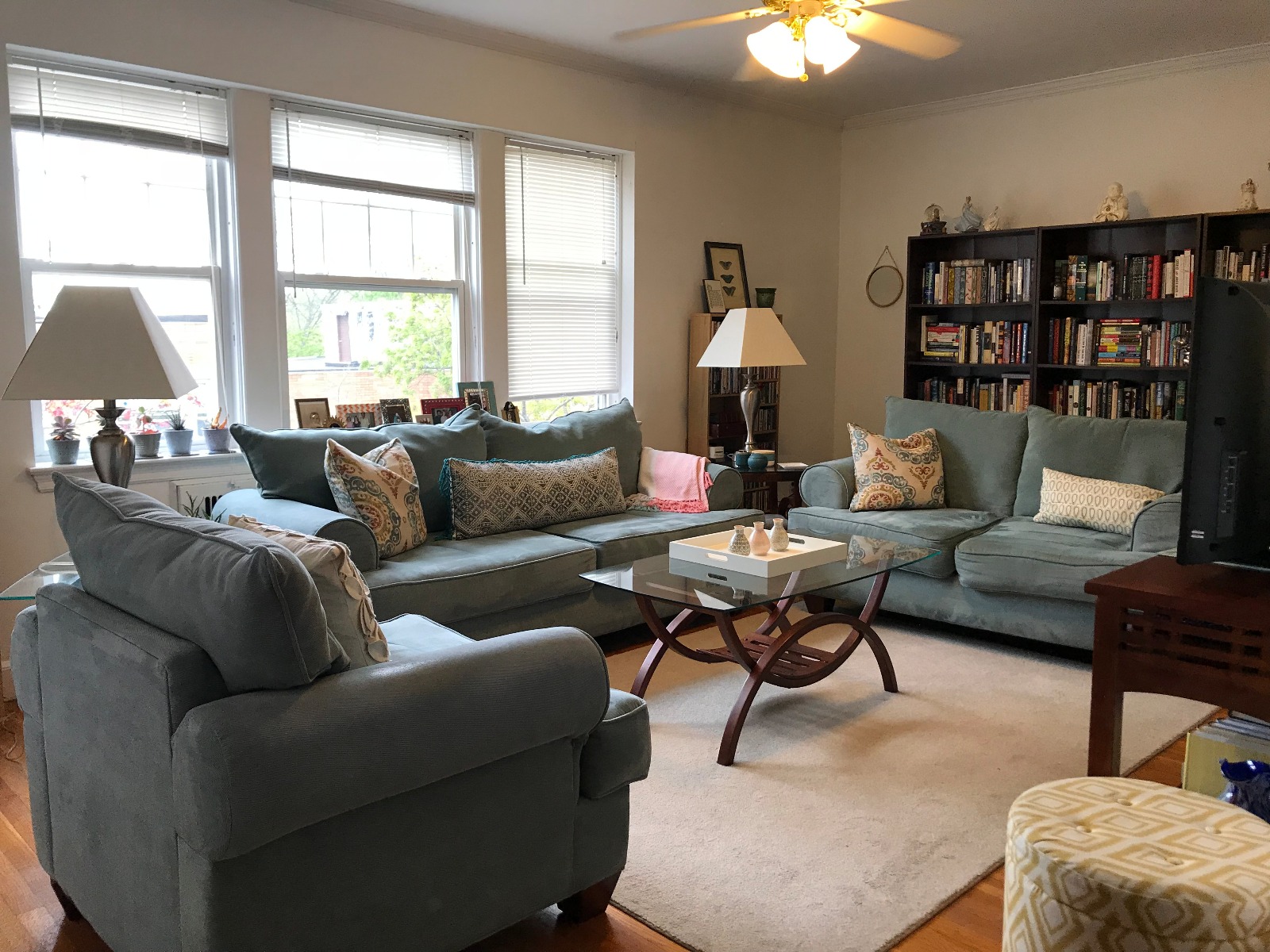 1 bed, 1 bath apartment for rent at 20 Fairbanks St Unit 5, Brookline — photo 1 of 10