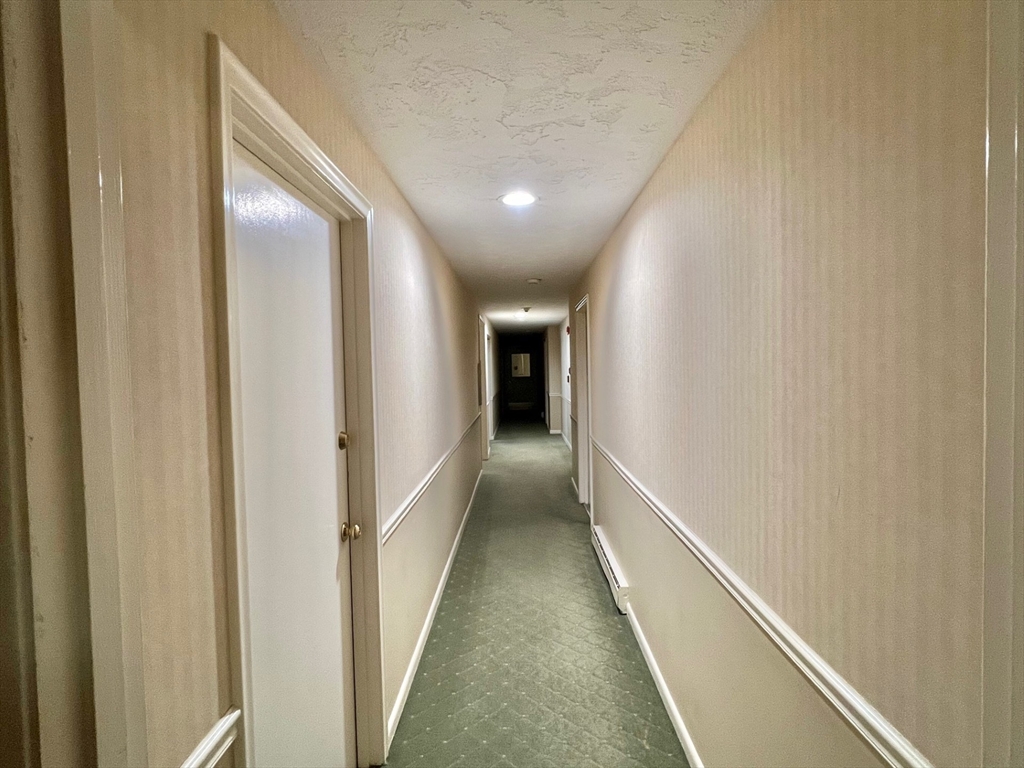 1 bed, 1 bath apartment for rent at 20 Hamilton Rd Unit 201, Arlington — photo 14 of 21