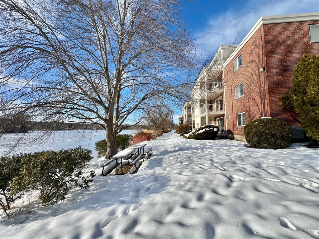 1 bed, 1 bath apartment for rent at 20 Hamilton Rd Unit 201, Arlington — photo 21 of 21