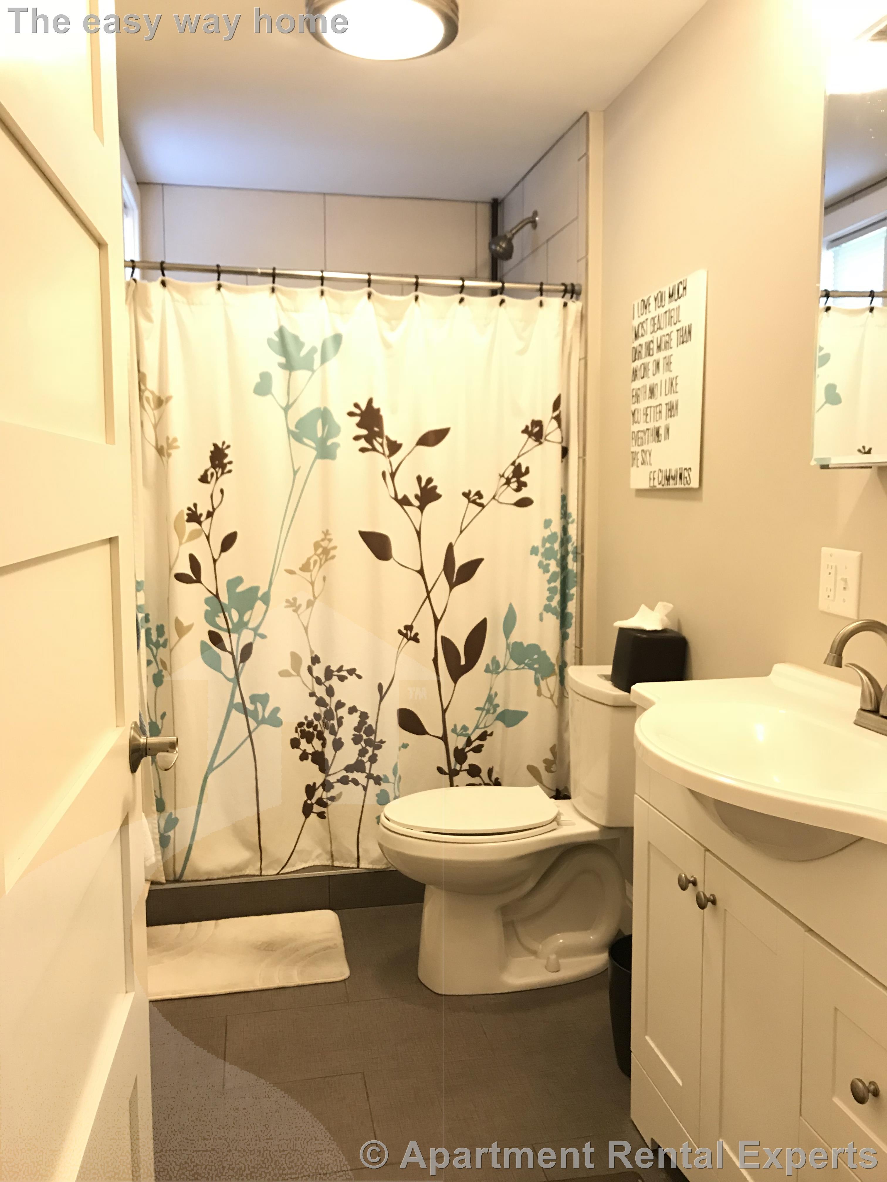 1 bed, 1 bath apartment for rent at 20 Jfk St Unit 4, Harvard Square — photo 14 of 14