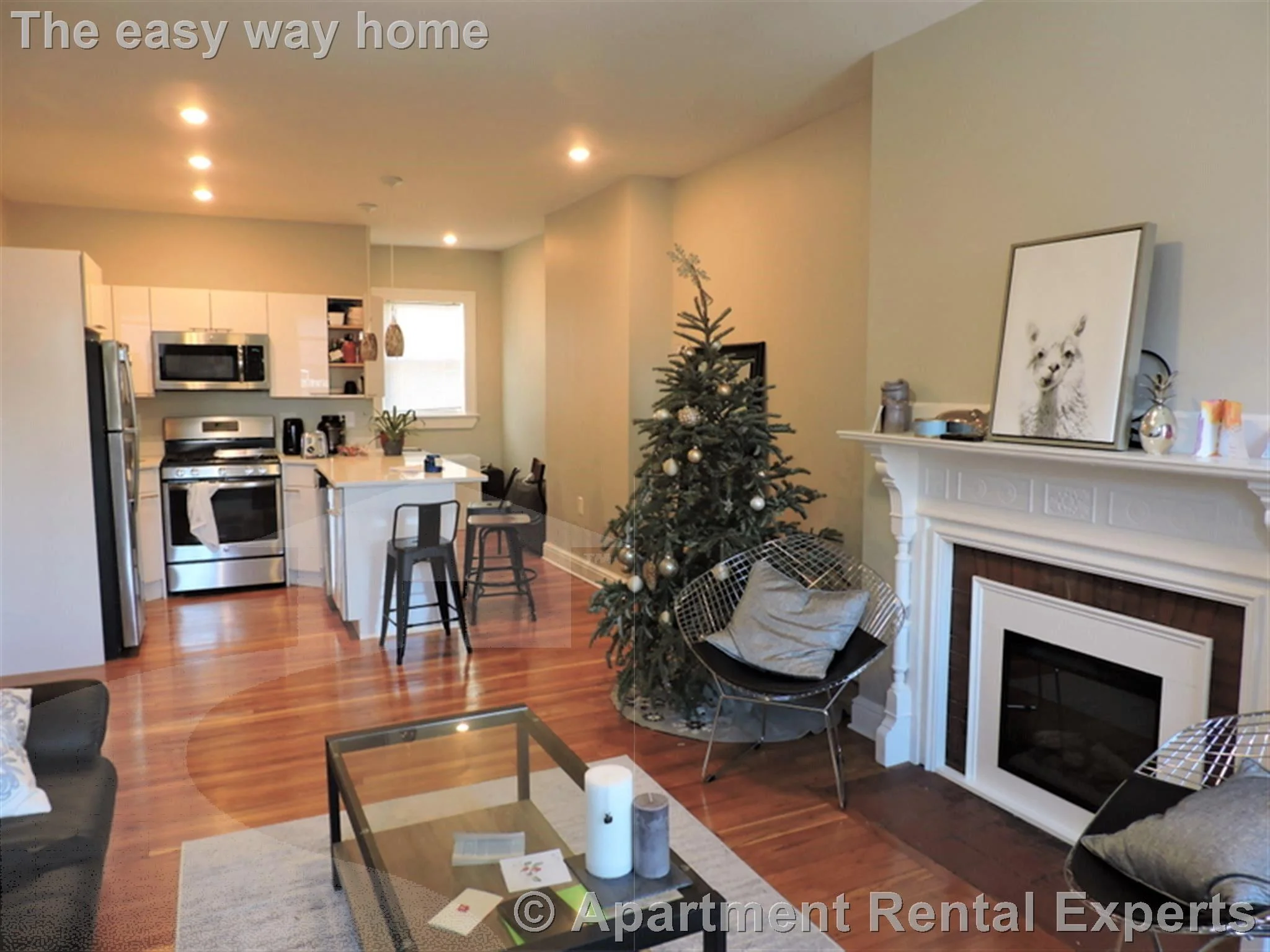 1 bed, 1 bath apartment for rent at 20 Jfk St Unit 8, Harvard Square — photo 1 of 8