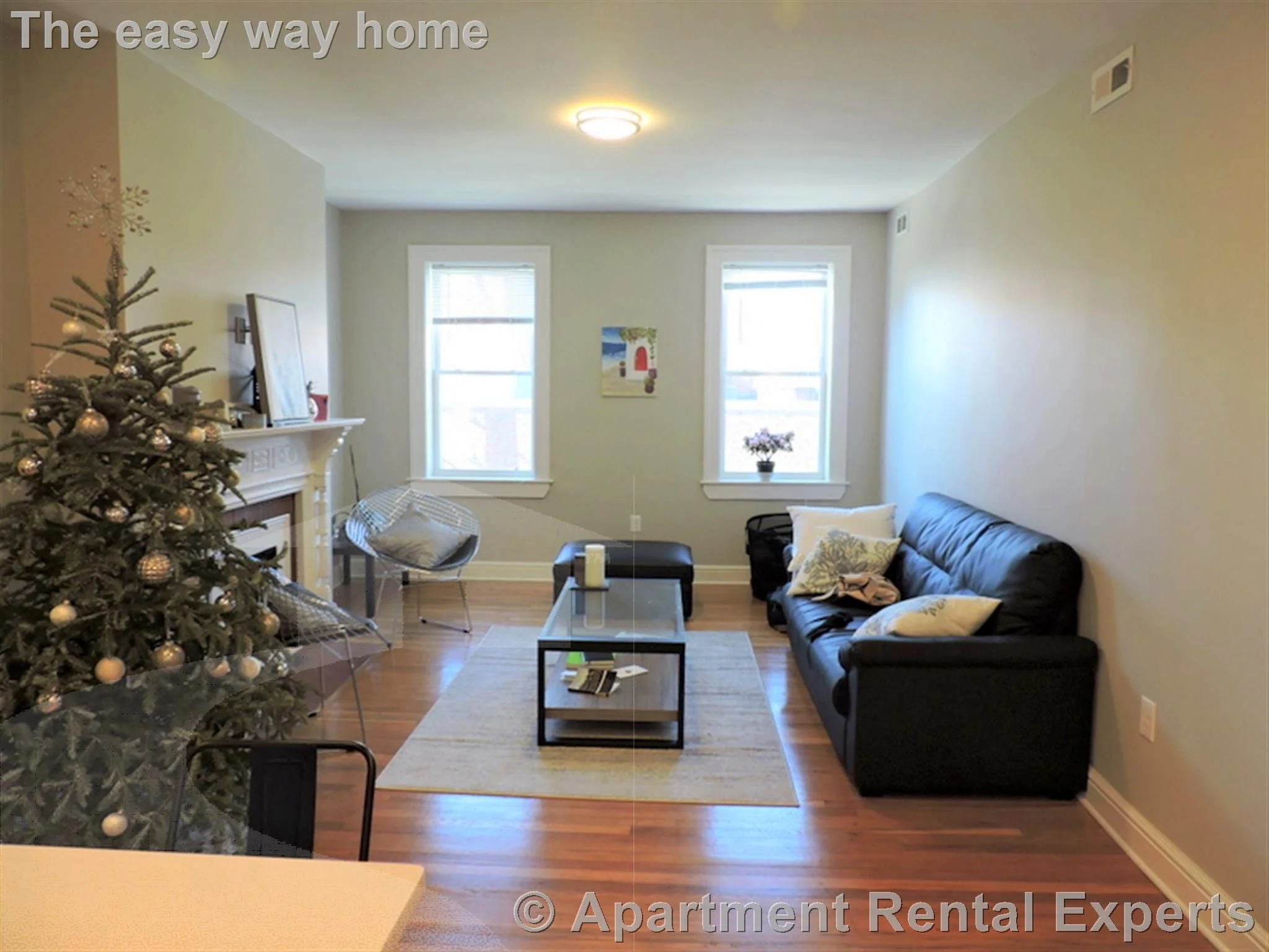 1 bed, 1 bath apartment for rent at 20 Jfk St Unit 8, Harvard Square — photo 3 of 8