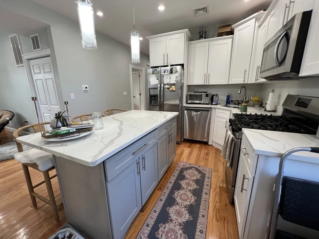 2 bed, 2 bath apartment for rent at 20 Kenton Rd Unit 2, Jamaica Plain — photo 3 of 20
