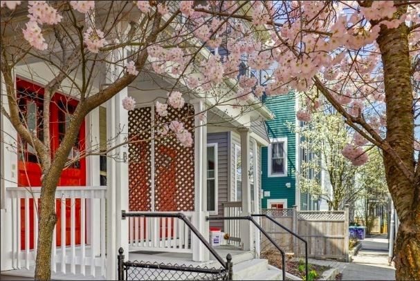 2 bed, 1 bath apartment for rent at 20 Lake St Unit 2, Ward Two — photo 32 of 33