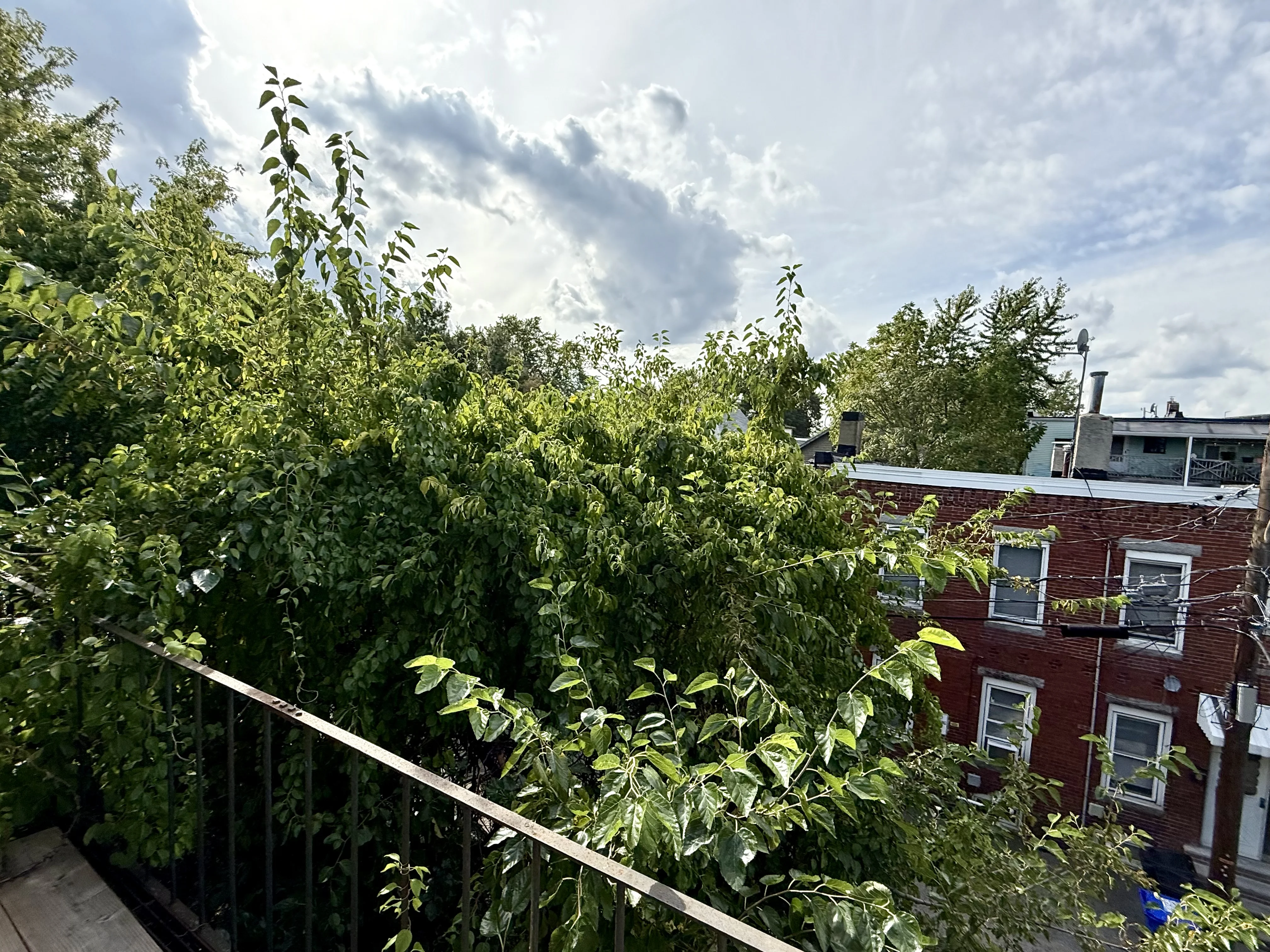 2 bed, 1 bath apartment for rent at 20 Mead St Unit 3A, Allston — photo 4 of 19