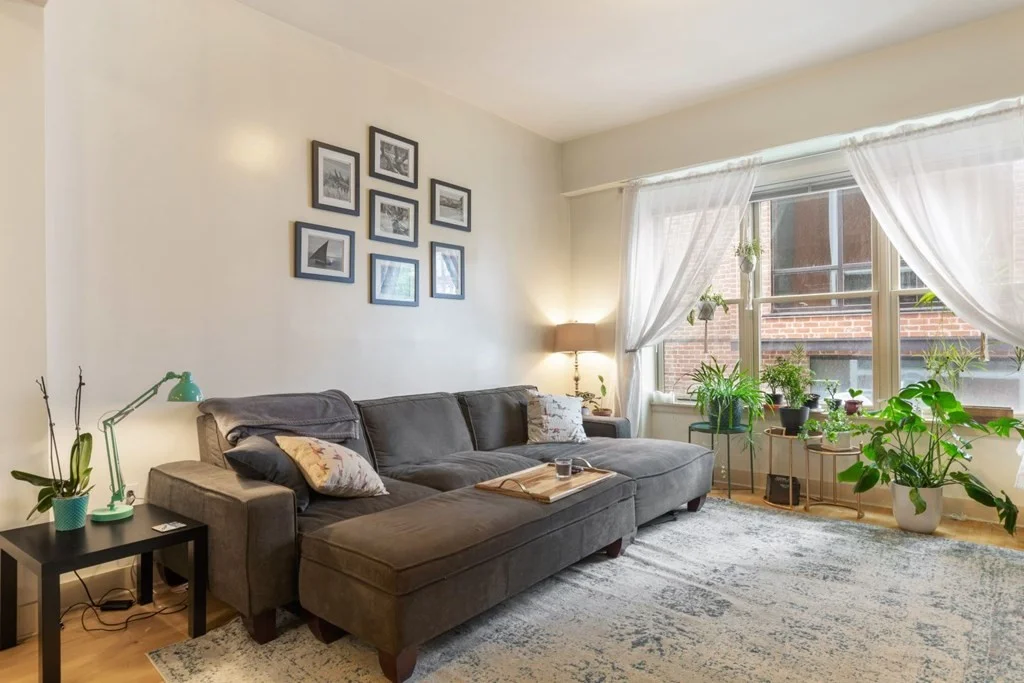 1 bed, 1 bath apartment for rent at 20 Parmenter St Unit 201, North End — photo 6 of 14