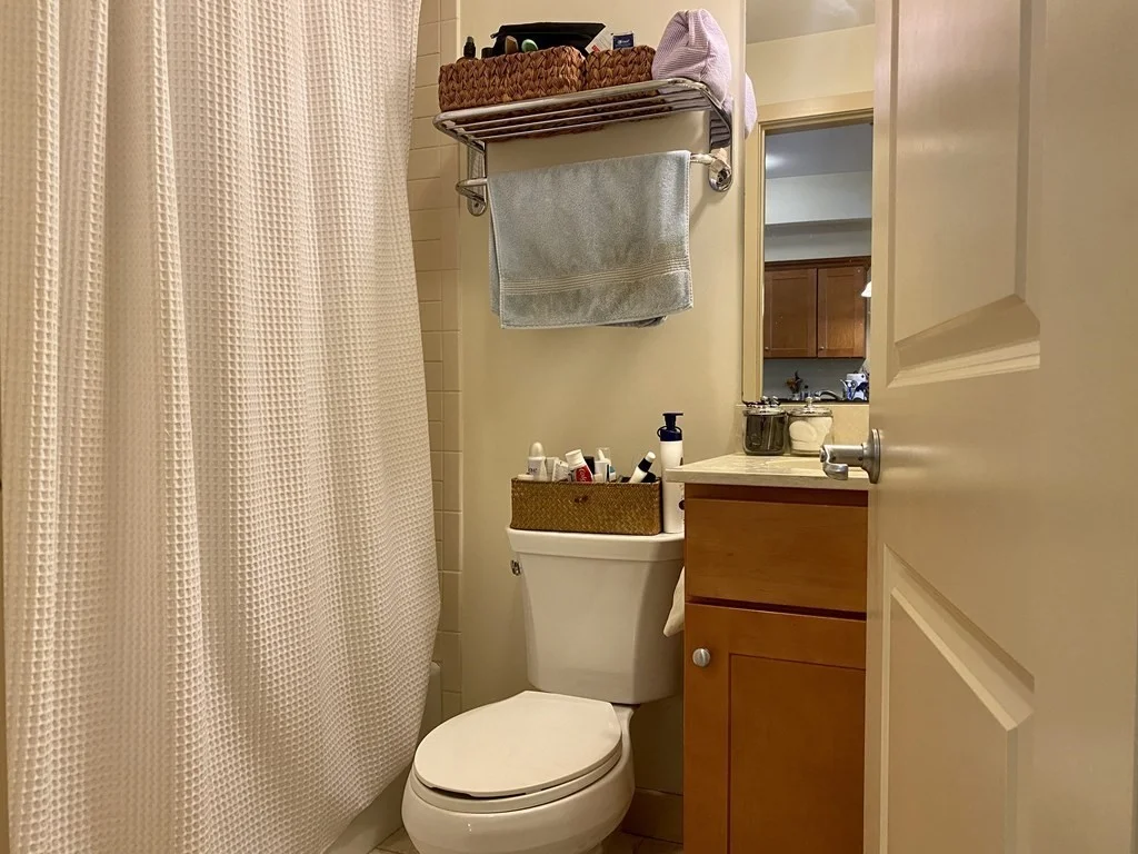 1 bed, 1 bath apartment for rent at 20 Parmenter St Unit 403, North End — photo 8 of 13