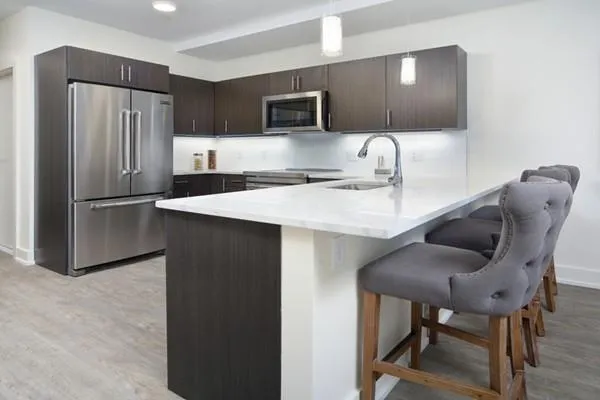 2 bed, 2 bath apartment for rent at 20 Penniman Rd Unit 101, Allston — photo 4 of 9