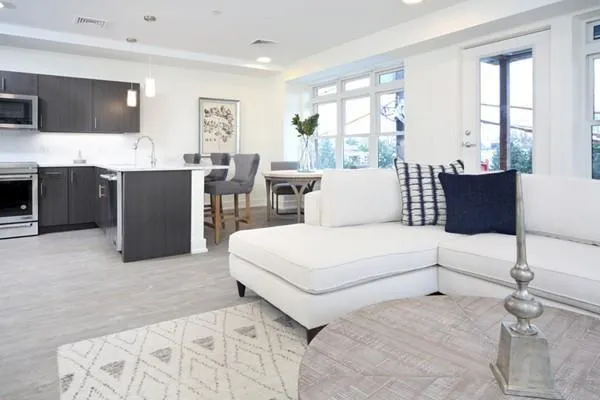 2 bed, 2 bath apartment for rent at 20 Penniman Rd Unit 101, Allston — photo 3 of 9