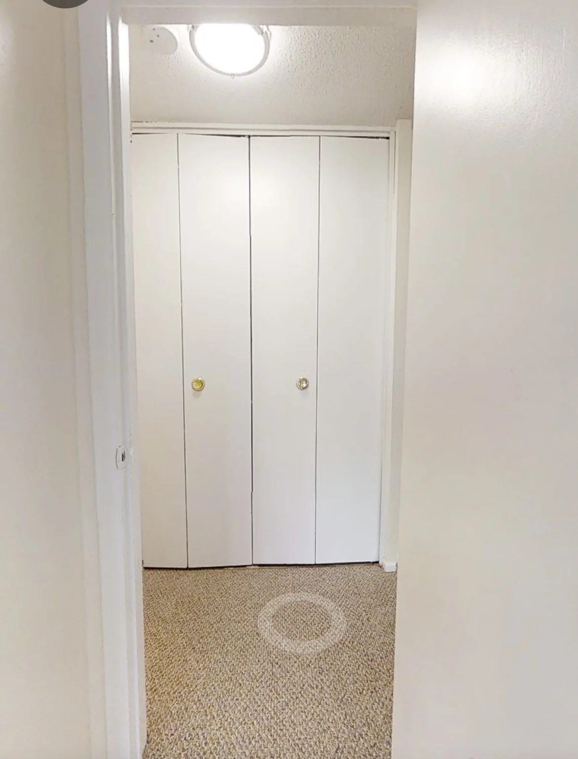1 bed, 1 bath apartment for rent at 20 Queens Way Unit 12, Framingham — photo 4 of 5