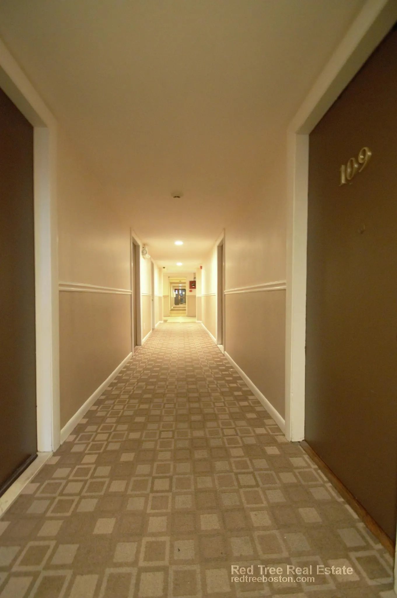 1 bed, 1 bath apartment for rent at 20 Radcliffe Rd Unit 1, Brighton — photo 13 of 19