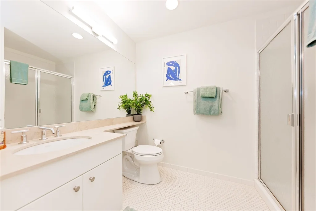 2 bed, 2 bath apartment for rent at 20 Second Unit 222, East Cambridge — photo 18 of 38