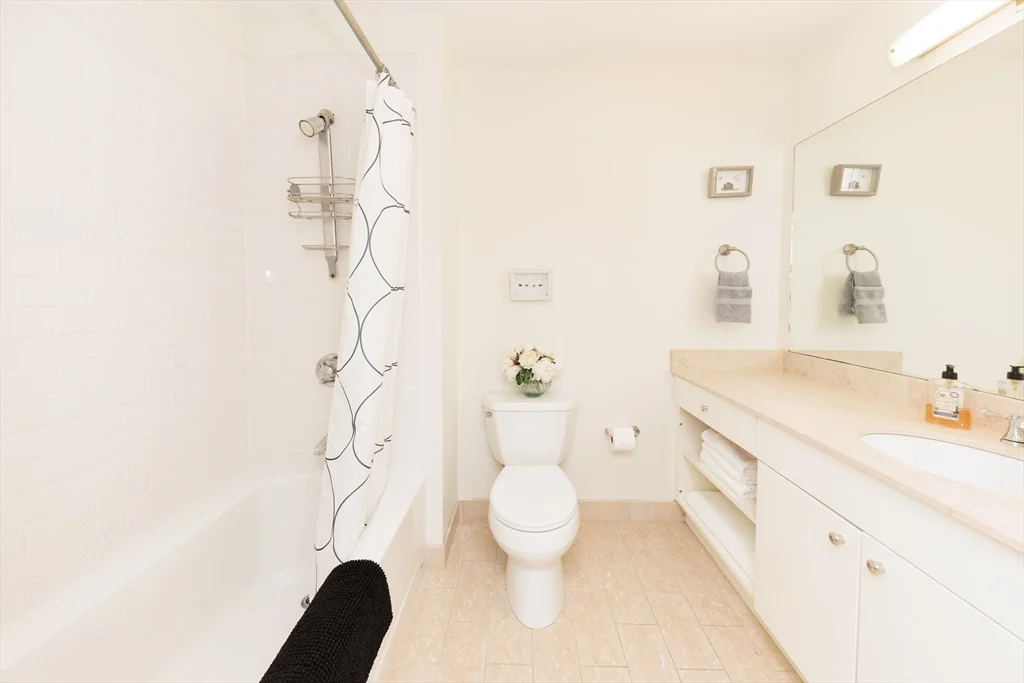 2 bed, 2 bath apartment for rent at 20 Second Unit 222, East Cambridge — photo 15 of 38