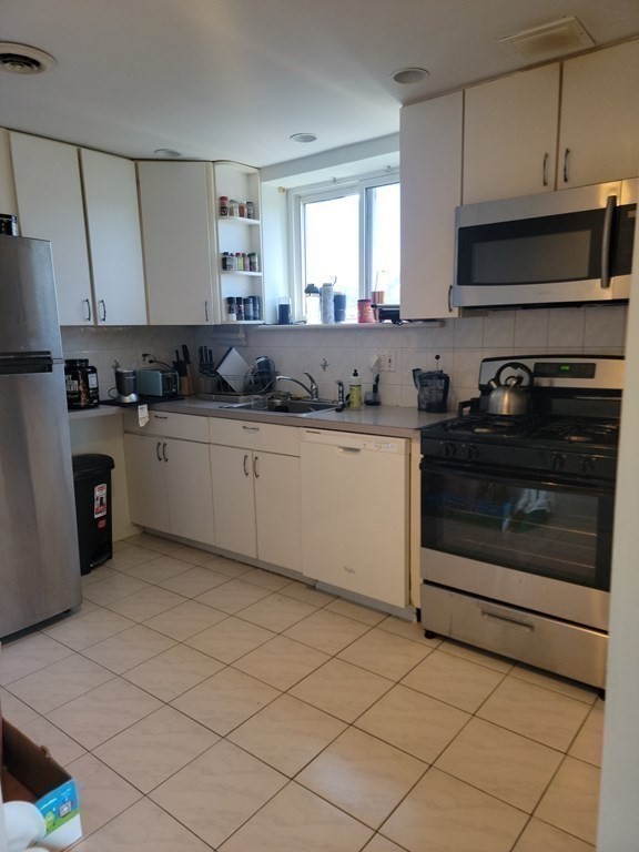 2 bed, 2 bath apartment for rent at 20 Stearns Rd Unit 50, Coolidge Corner — photo 4 of 10