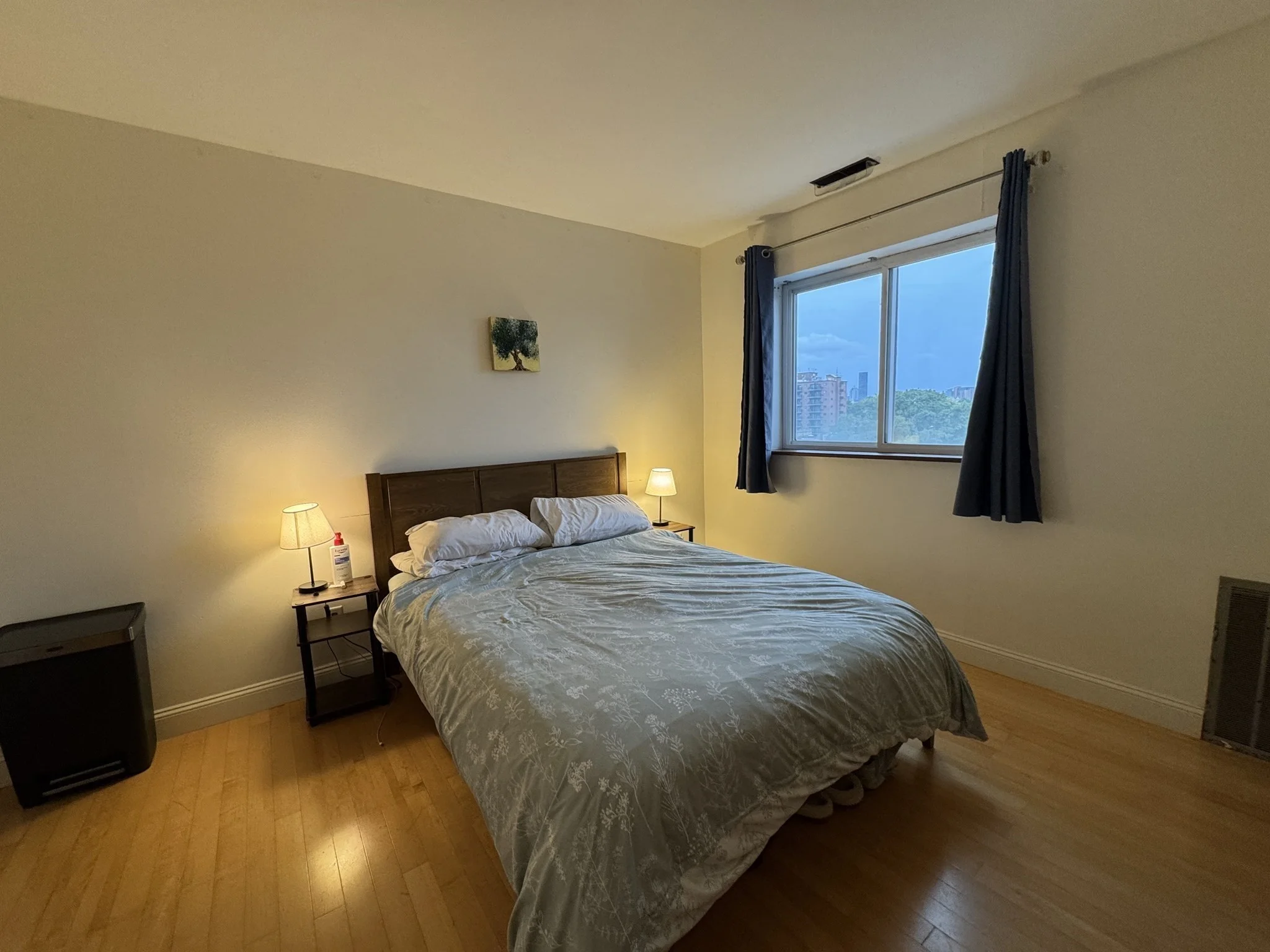 1 bed, 1 bath apartment for rent at 20 Stearns Rd Unit 63, Coolidge Corner — photo 4 of 19