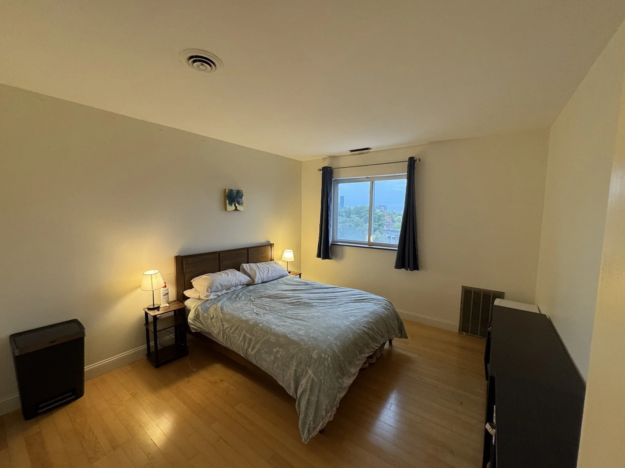 1 bed, 1 bath apartment for rent at 20 Stearns Rd Unit 63, Coolidge Corner — photo 5 of 19