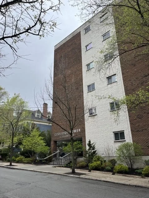 1 bed, 1 bath apartment for rent at 20 Stearns Rd Unit 63, Coolidge Corner — photo 2 of 19