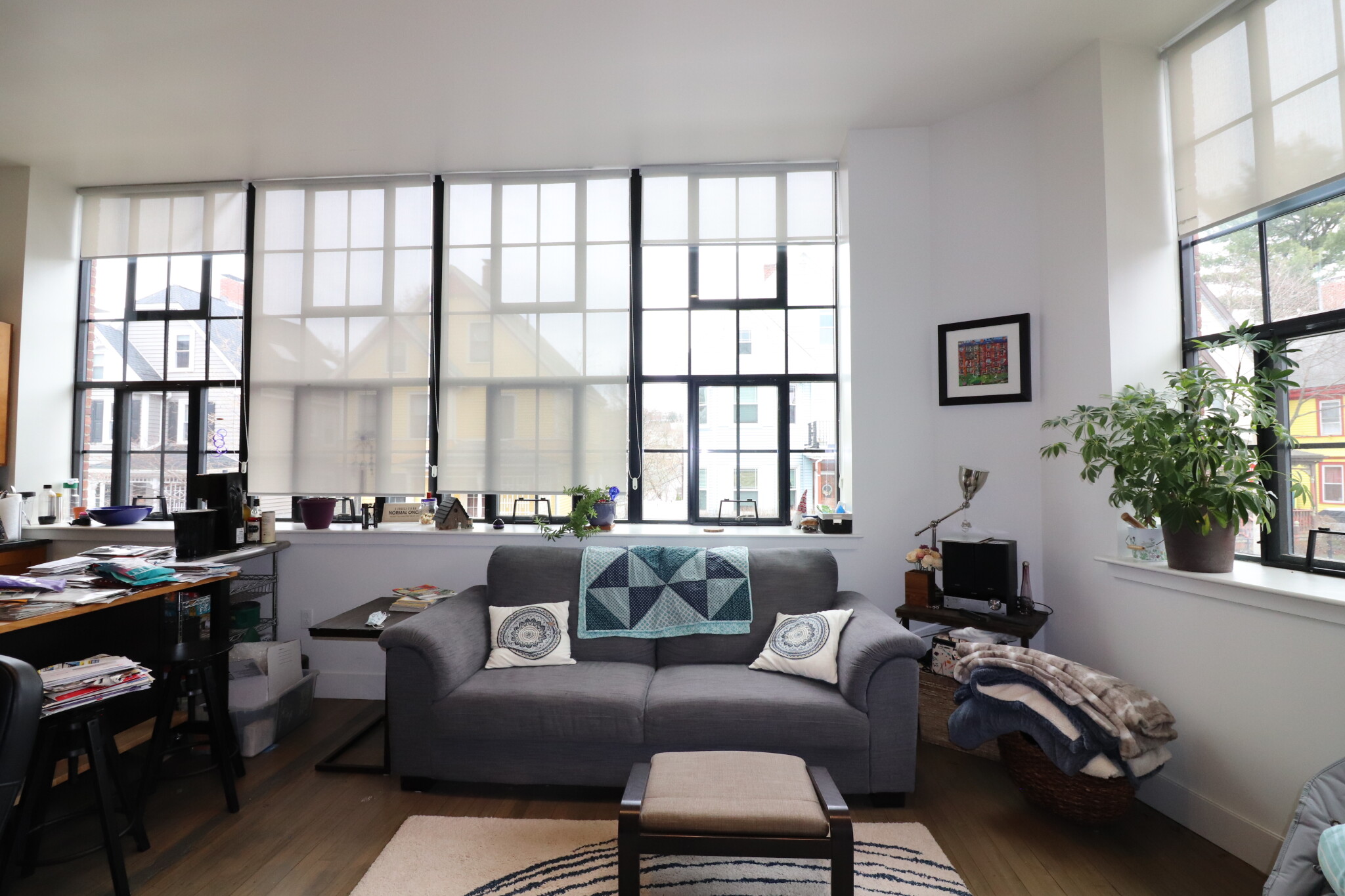 1 bed, 1 bath apartment for rent at 20 Sunnyside St Unit 14, Jamaica Plain — photo 3 of 14