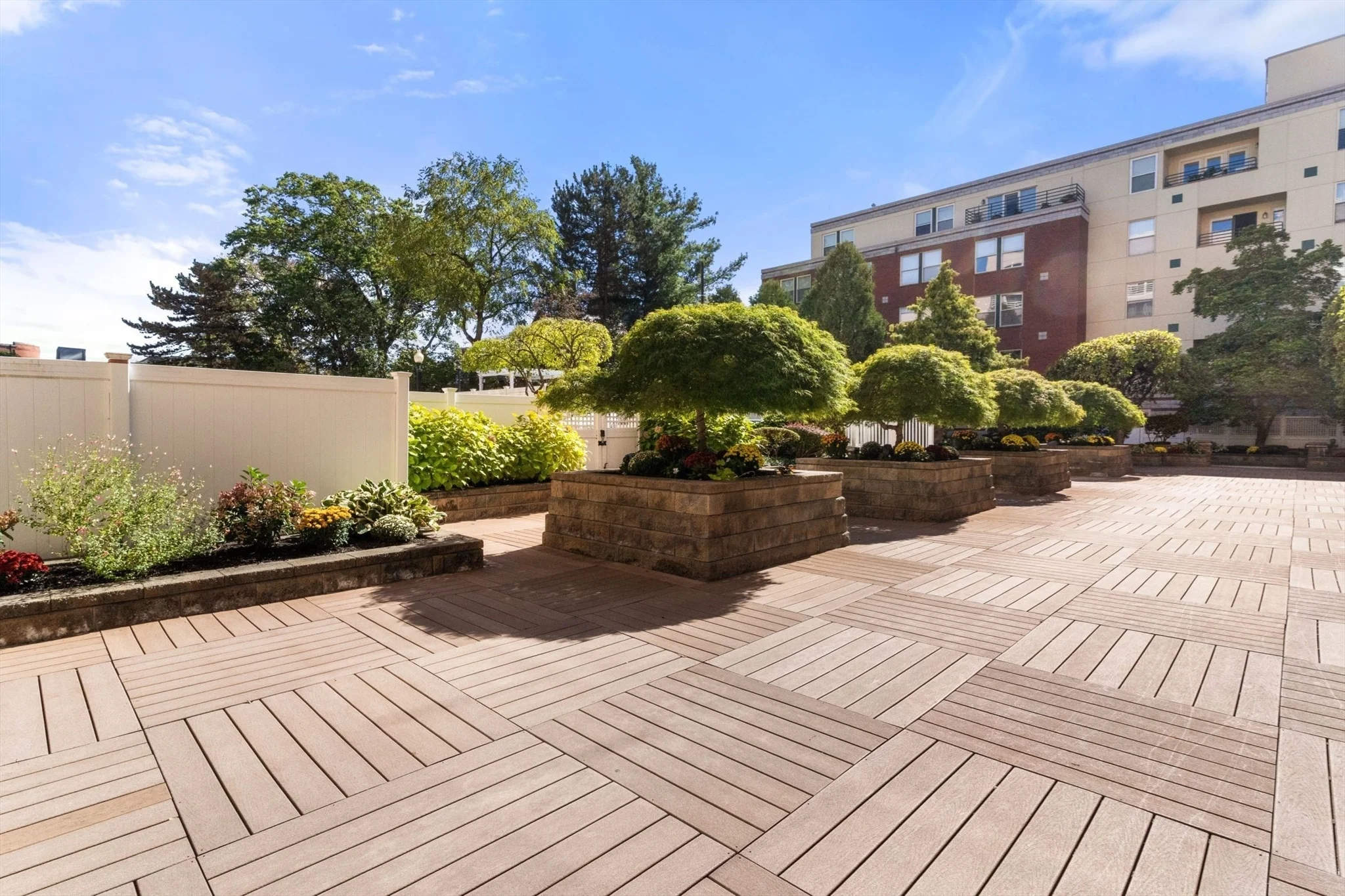1 bed, 1 bath apartment for rent at 20 Webster St Unit 201, Coolidge Corner — photo 19 of 24
