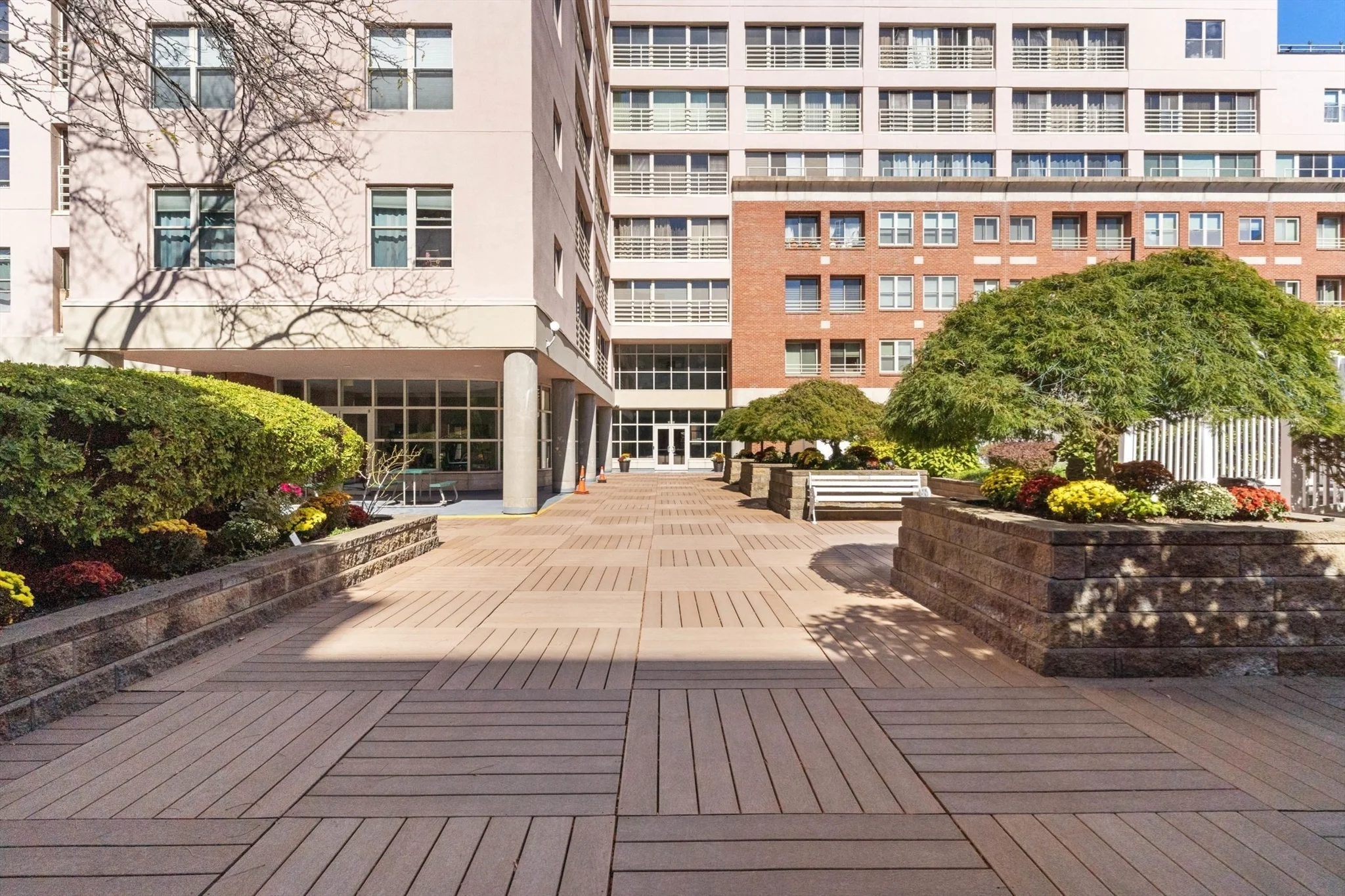 1 bed, 1 bath apartment for rent at 20 Webster St Unit 201, Coolidge Corner — photo 18 of 24